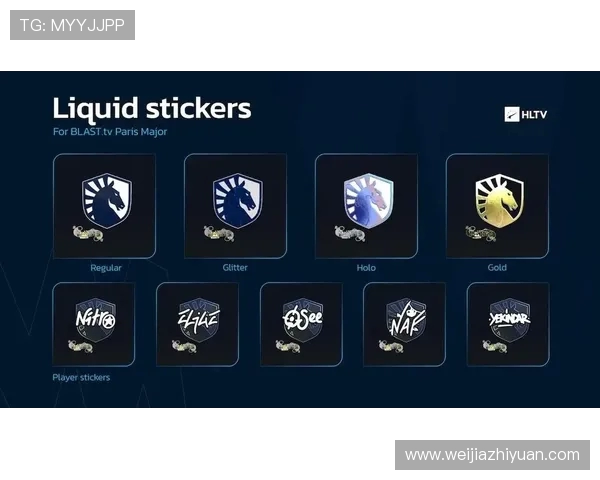 CSGO专题深度解析V5战队的实力与战术布局 CSGO专题深度解析V5战队的实力与战术布局