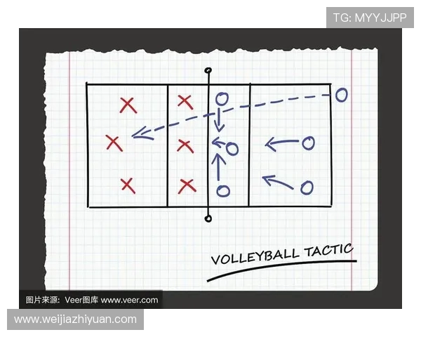 上海排球队进攻体系解析与战术创新探讨