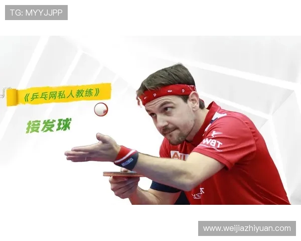 从零基础到高手之路乒乓球速度技巧全面解析与实战应用