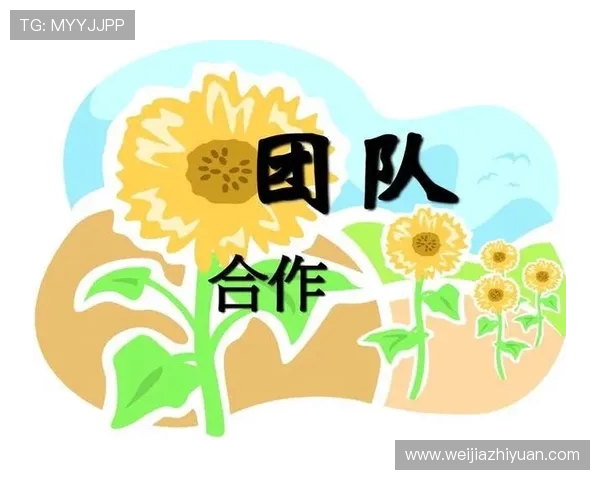 北京篮球队团队协作的力量与智慧探讨