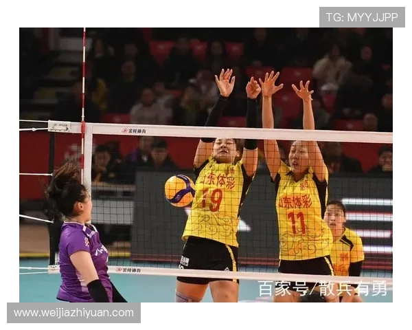 南京排球队技术对比深度解析与未来发展趋势探讨