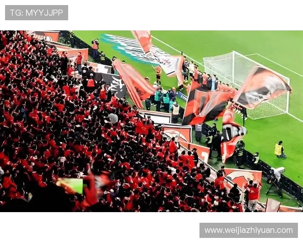 南京足球队总决赛表现分析：意识与战术的深度解读与反思