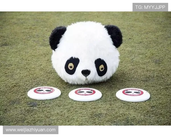 成都飞盘队的转型之路探索与创新实践全景解析