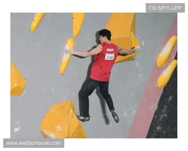 武汉攀岩队与深圳攀岩队赛后战术分析与总结探讨