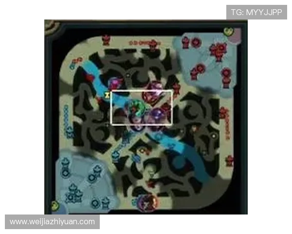 聚焦英雄联盟战队WE的技术分析与战术探讨