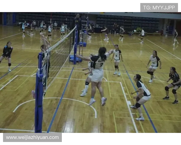 重庆排球队团队协作新模式引发热议助力排球运动发展