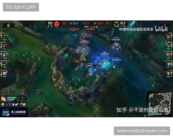 S10TES与Fly的精彩对决分析及战术探讨