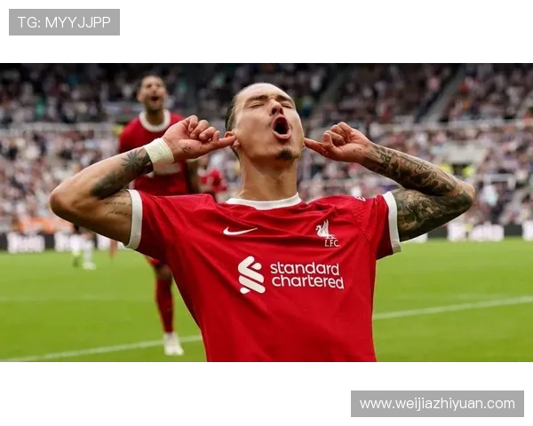 努涅斯的崛起之路:从新星到足坛巨星的华丽转变