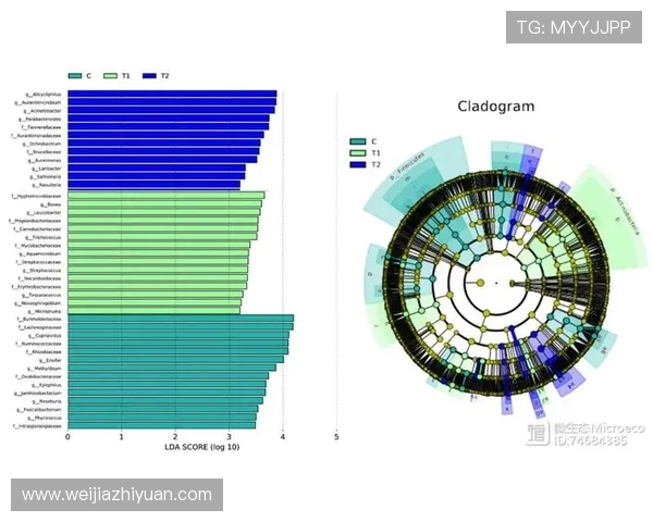利物浦与弗拉门戈对决技术统计全面分析与数据解读