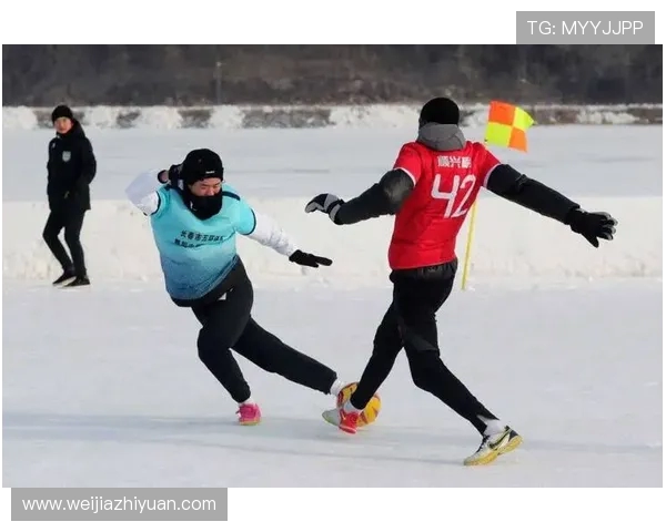 吉马雷斯与艾维斯的精彩对决揭示了足球战术的魅力与球队实力的较量