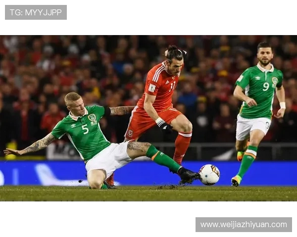 塞尔维亚对阵威尔士精彩直播全程回顾与赛后分析