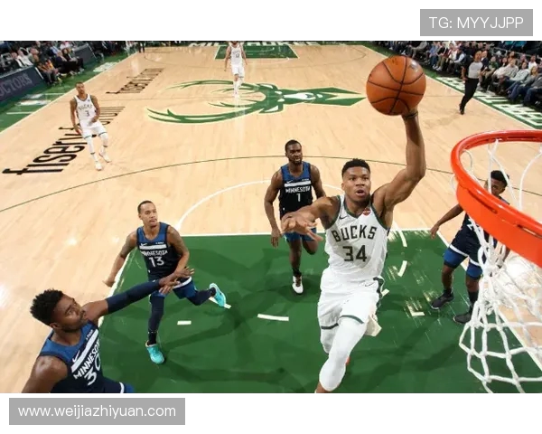 季前赛激战雄鹿对决森林狼球星表现引发球迷热议