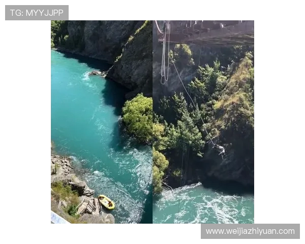 蓝队与新西兰精彩对决视频下载全攻略分享