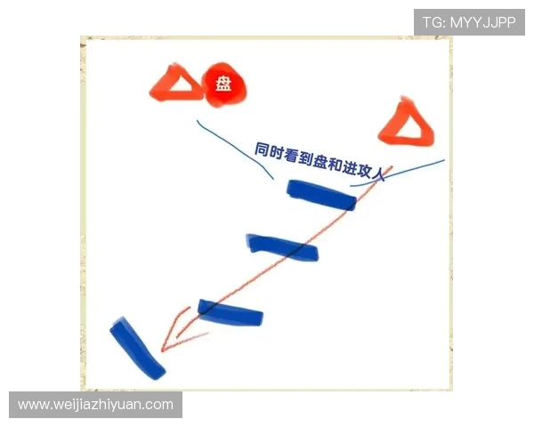 飞盘战术揭秘：武汉飞盘队如何巧妙应对对手盯防策略