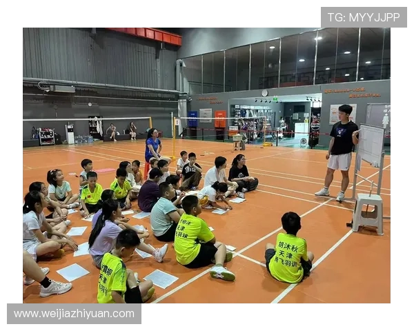 羽毛球的力量与坚持：深入武汉羽毛球队的耐力训练之旅