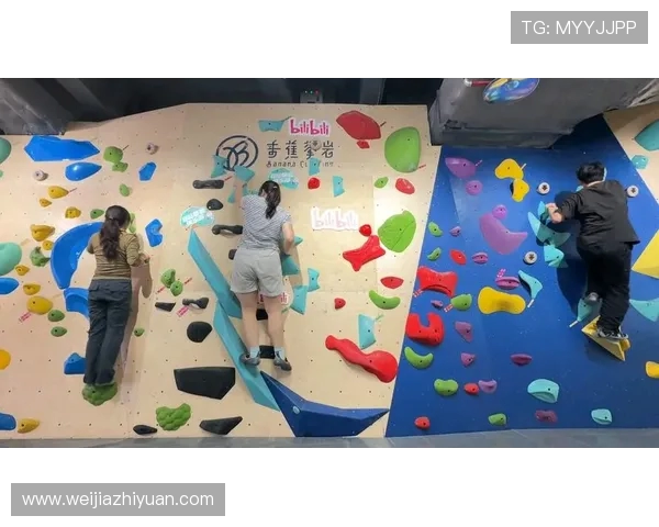 北京攀岩队实力崭露头角荣登全国攀岩力量排行榜第七名 北京攀岩队实力崭露头角荣登全国攀岩力量排行榜第七名