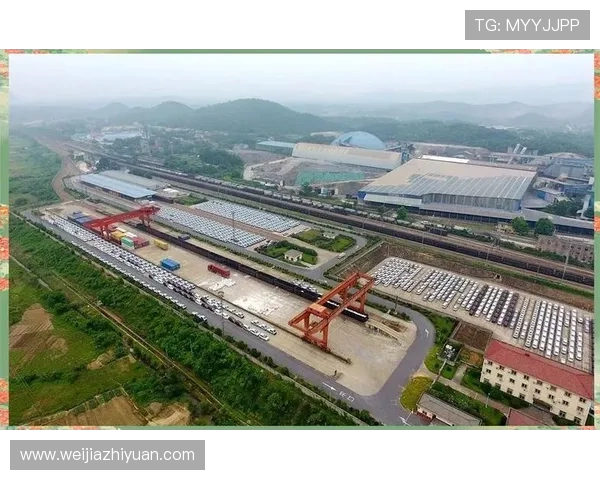 南京排球队的转型之路：从传统到现代的全面革新探索