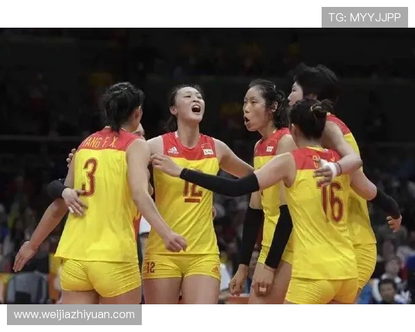 杭州排球队战术实力强劲荣登全国排球战术排行榜第三名